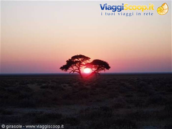 Dawn at Ethosa