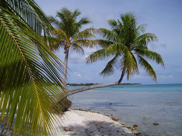 beach of Tikehau