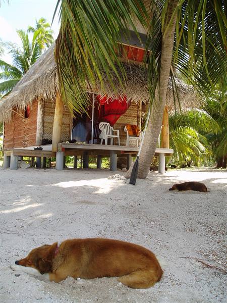 our place in Tikehau
