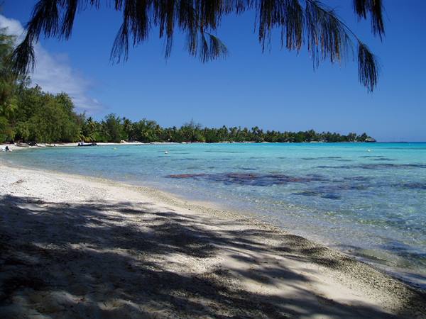 rangiroa beach near the kia ora