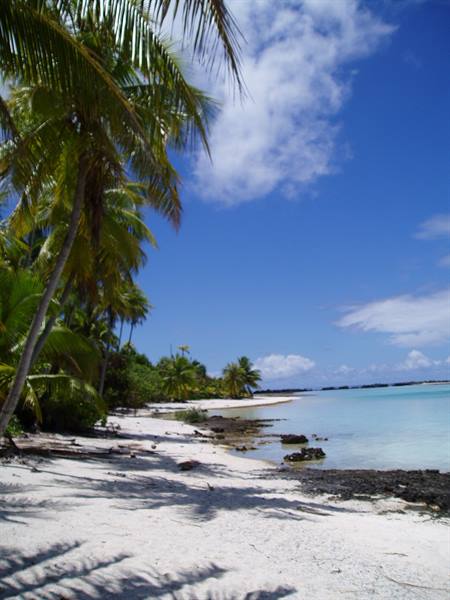 rangiroa - excursion