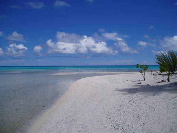 White sand beach with clear turquoise water and small shrubs under blue sky