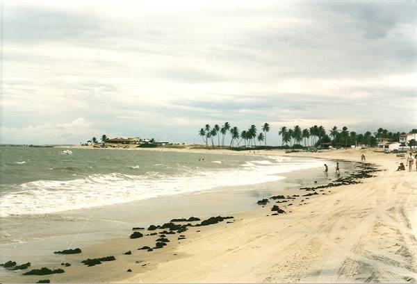 Beach with seaweed on the sand, palm trees and bathers under cloudy sky
