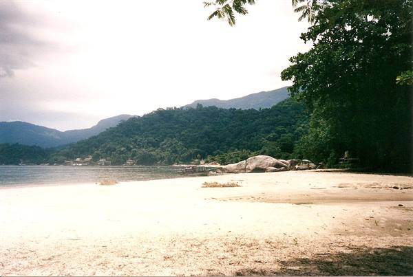Pale sandy beach with trees, rocks and green mountains over the bay