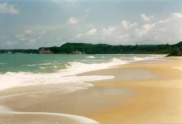 White waves on golden sand, green forest behind, cloudy sky