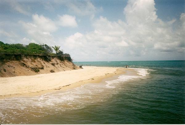 Sandy beach with earth cliff and palms, waves on green ocean