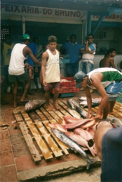 Fishmongers sorting fresh fish on wooden pallets at Peixaria do Bruno
