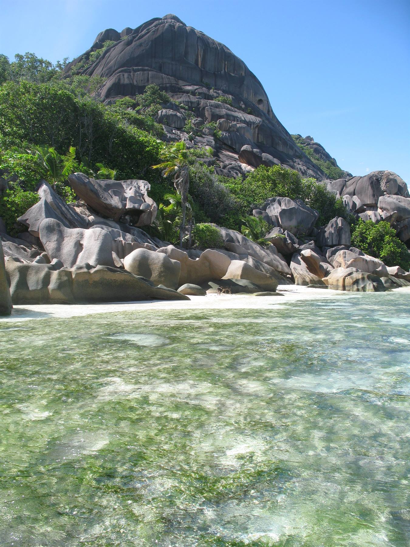 Anse source D'Argent A sea of a thousand colours