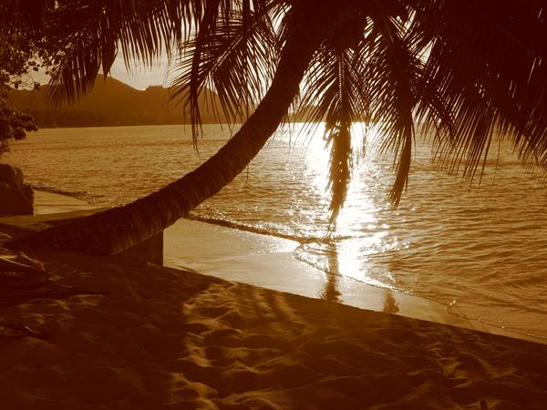Praslin - Anse Gouvernment