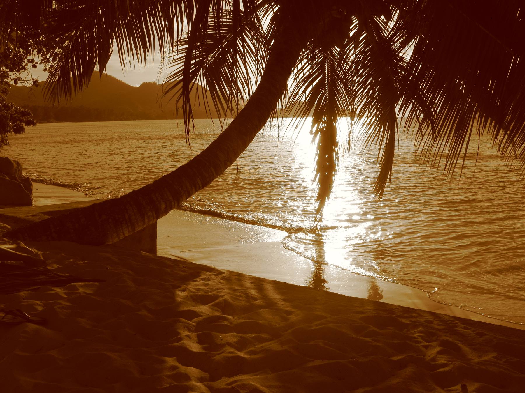 Praslin - Anse Gouvernment