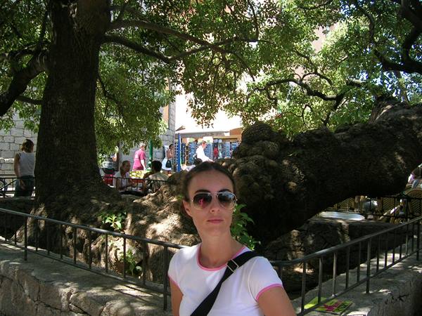 in the centre of Porto-Vecchio