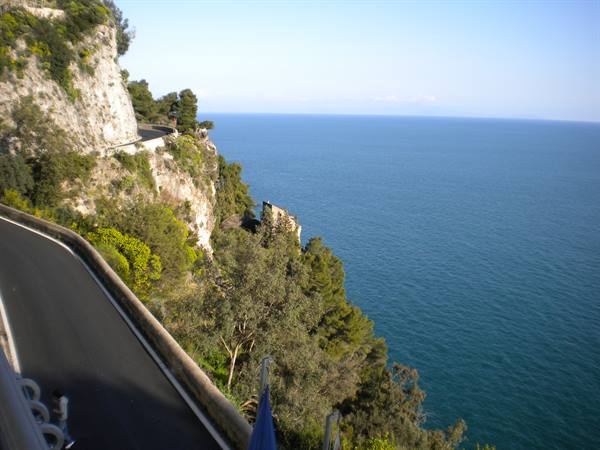 asphalt road on rocky cliff with pines above the blue sea