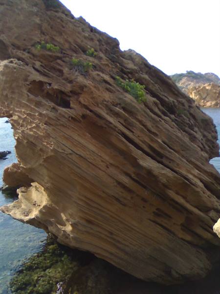 Eroded layered rock leaning over the sea, green shrubs above, daylight