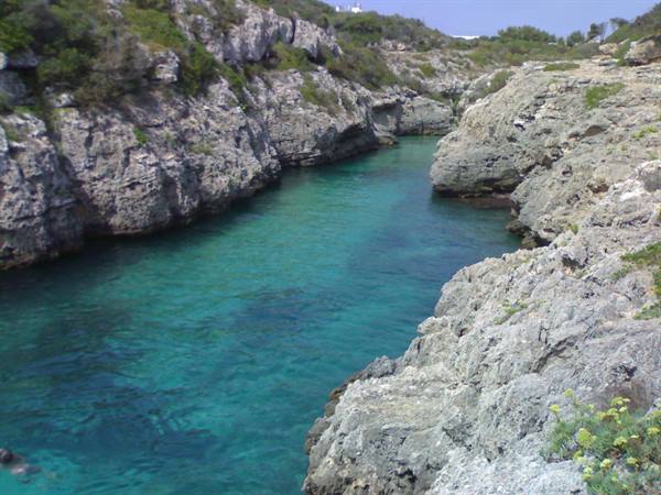 Turquoise water between limestone cliffs and green shrubs, bright sunlight
