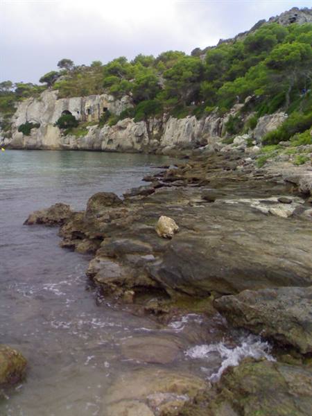 Limestone rocks washed by turquoise water, pines and cliffs under grey sky