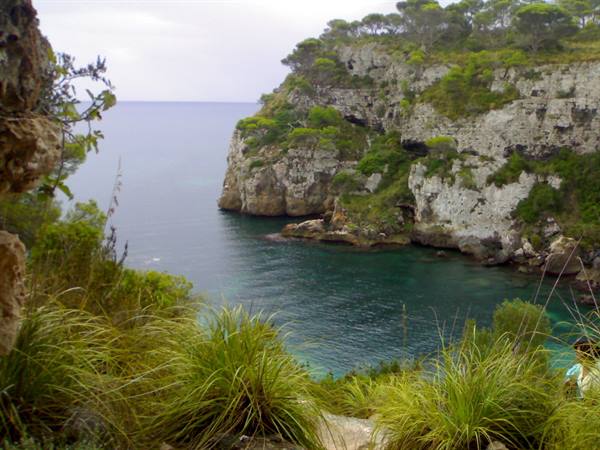 Rocky cove with pine trees, turquoise water between limestone cliffs