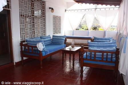 ...the pili pili of the terrace...