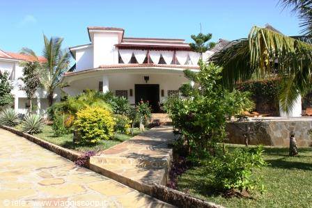 The house and the garden