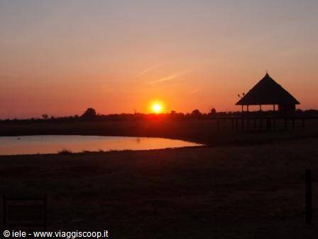 SUNSET IN THE SAVANNAH