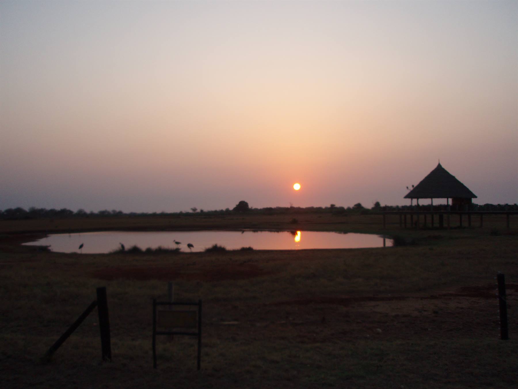 DAWN IN THE SAVANNAH