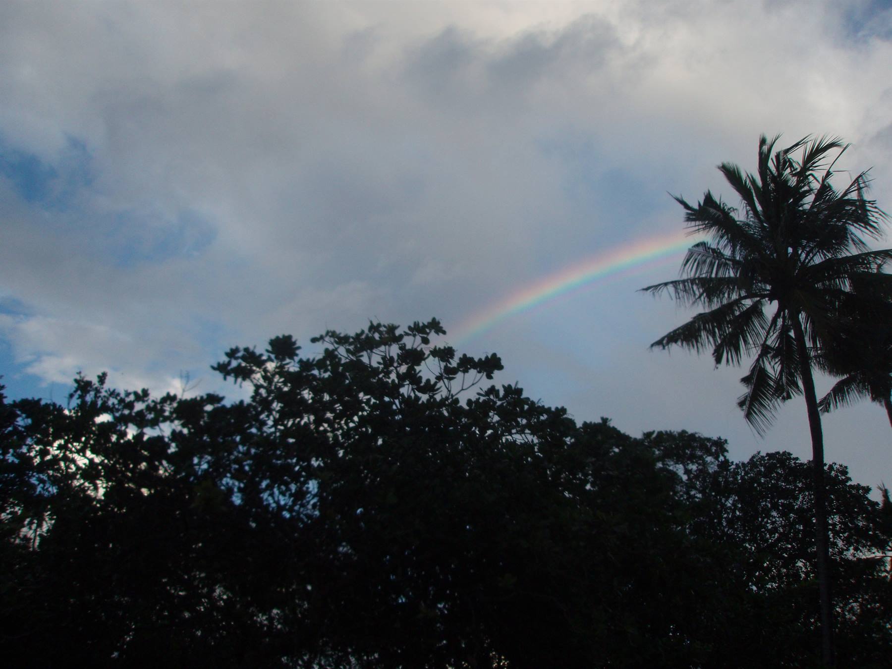 RAINBOW