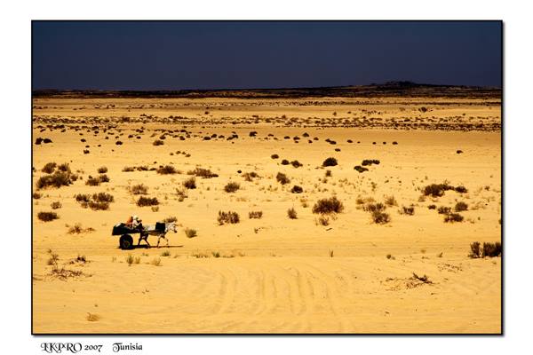 desert