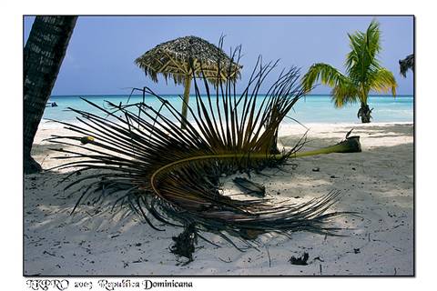 Dominican Republic