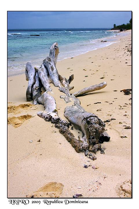 beach