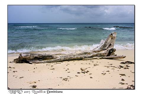 Dominican Republic