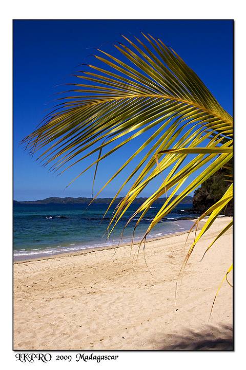  Details from Madagascar
