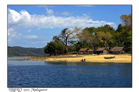 Details from Madagascar