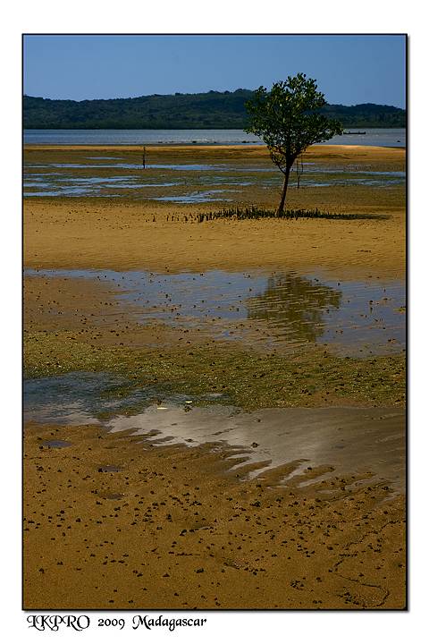  Details from Madagascar