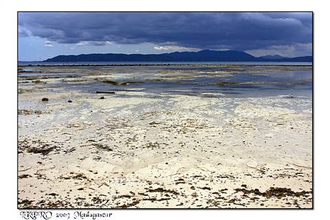  Details from Madagascar