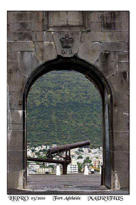 view