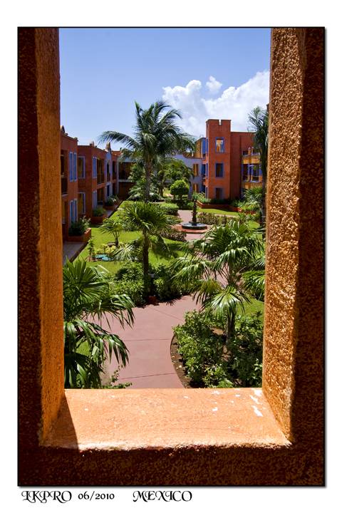 view