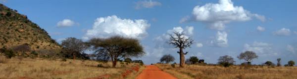 Red dirt road among acacia and baobab trees, dry savanna under cloudy sky