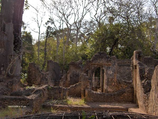 coral stone ruins with arches, wrapped by trees in daylight
