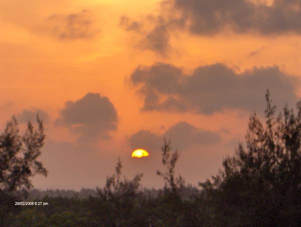 Low sun among orange clouds above dark trees