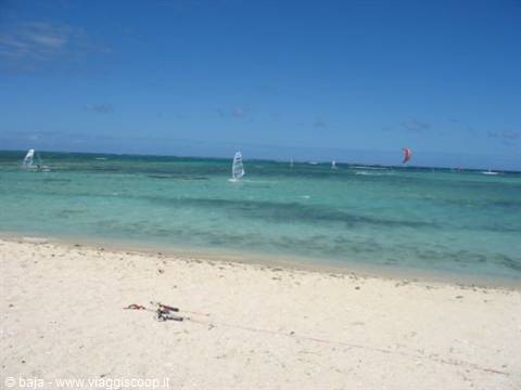 White sand beach, windsurf sails on turquoise water, clear blue sky