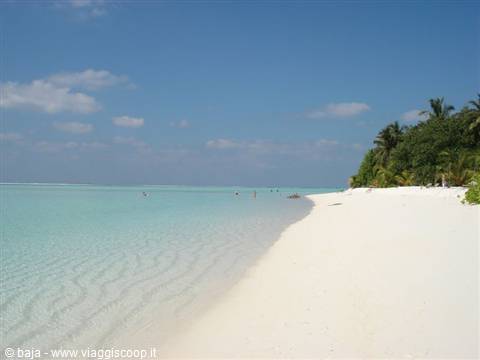 White sand beach with palms and turquoise lagoon, Maldives atoll