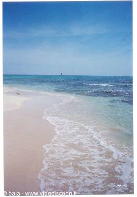 Foamy waves on white sand, turquoise sea and blue sky