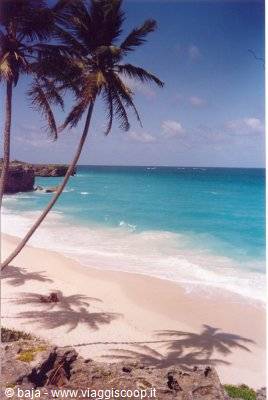 Leaning palms over white sand, turquoise foamy sea, blue sky