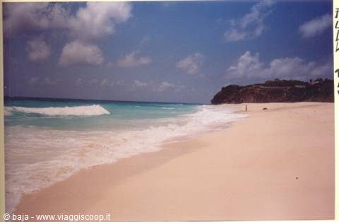 White wave on pink sand, green cliff in the background