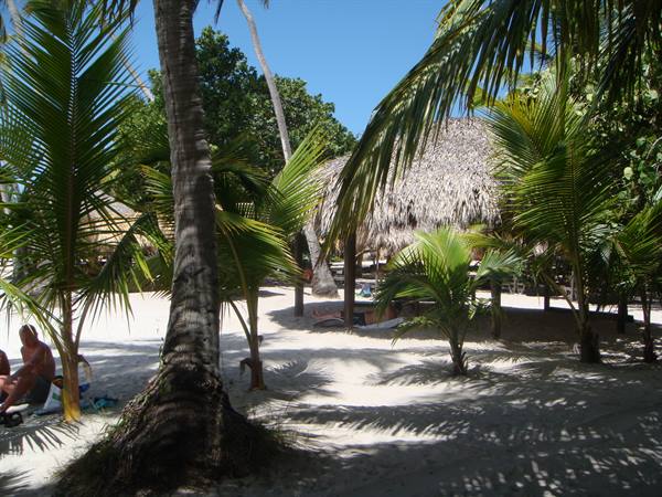 White sand beach with palm trees and thatched-roof hut in the sun