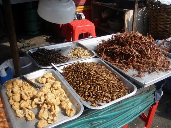 Bangkok food stalls not tasted