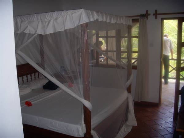 Four-poster bed with white mosquito net in room, door open to palm trees