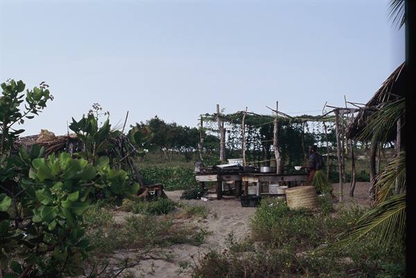 the kitchen