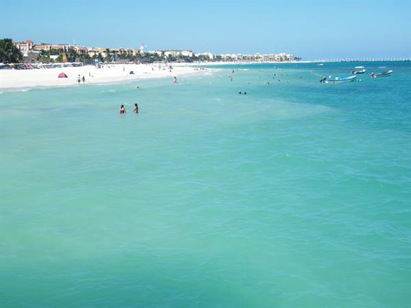 beach in Playa
