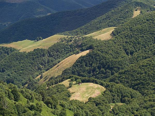 Panorama