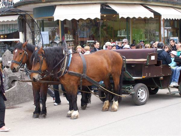 Carriage for Neuschwanstein castle